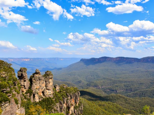 ブルーマウンテン